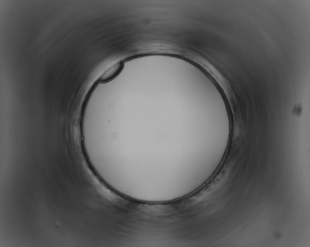 X0000100751293200807171402