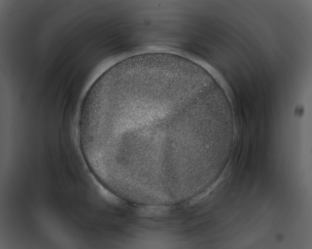 X0000100751294200807171402