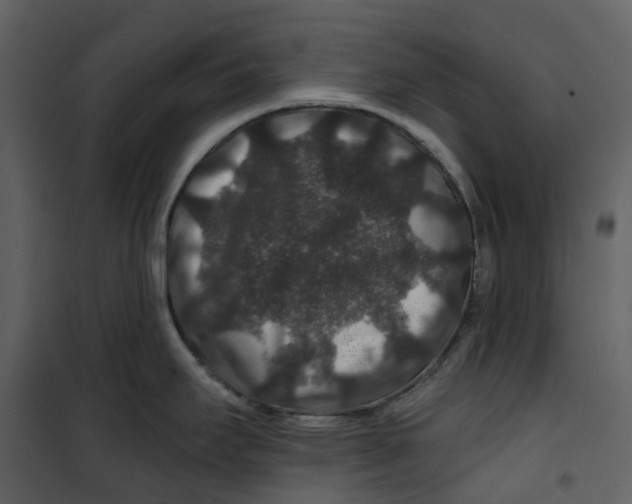 X0000100751295200807171402