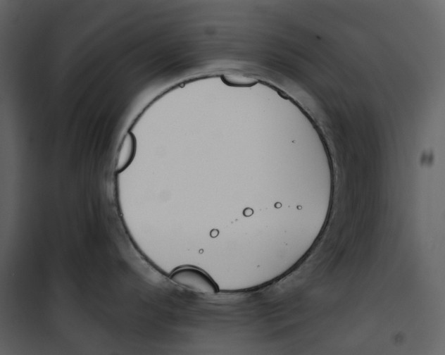 X0000100751296200807171402