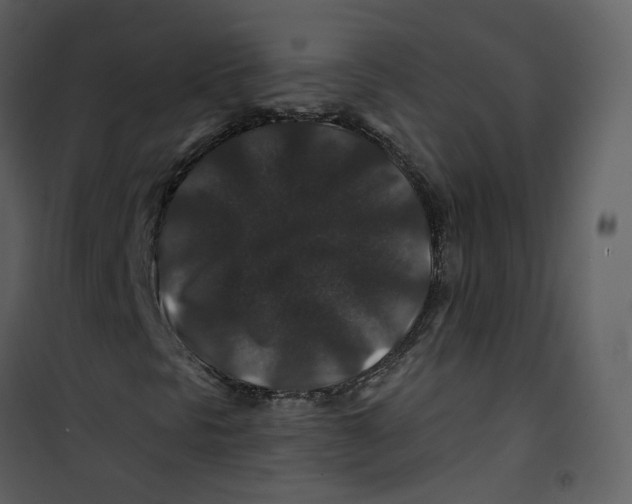 X0000100751297200807171401