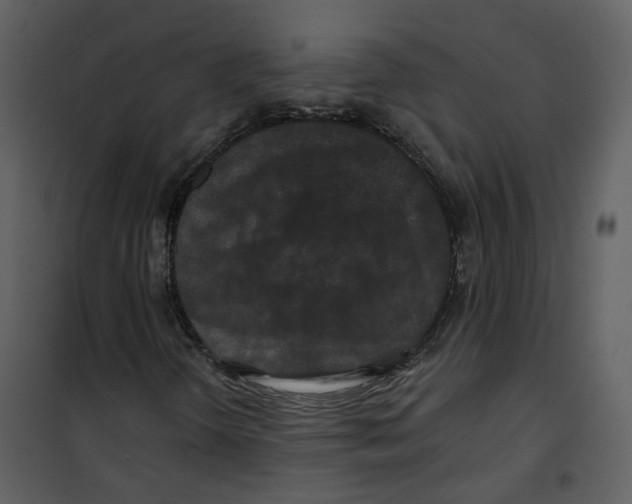 X0000100751298200807171401