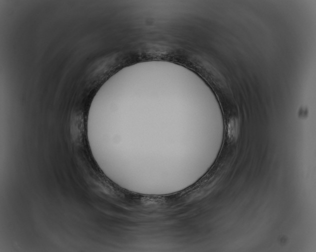 X0000100751299200807171401