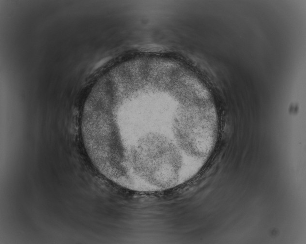 X0000100751301200807171402