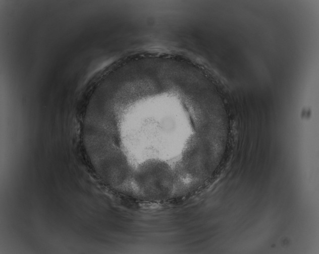 X0000100751302200807171402