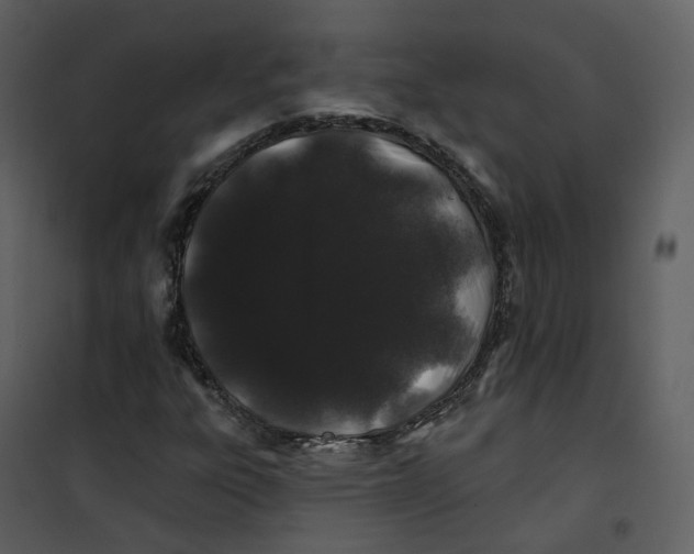 X0000100751303200807171402