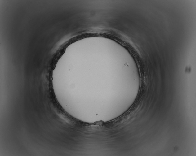 X0000100751304200807171402