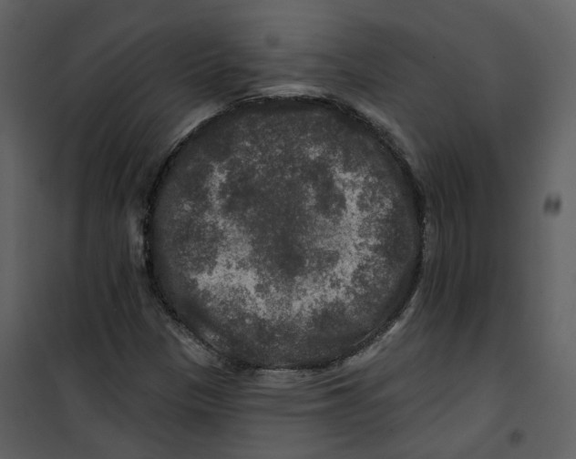 X0000100751305200807171402