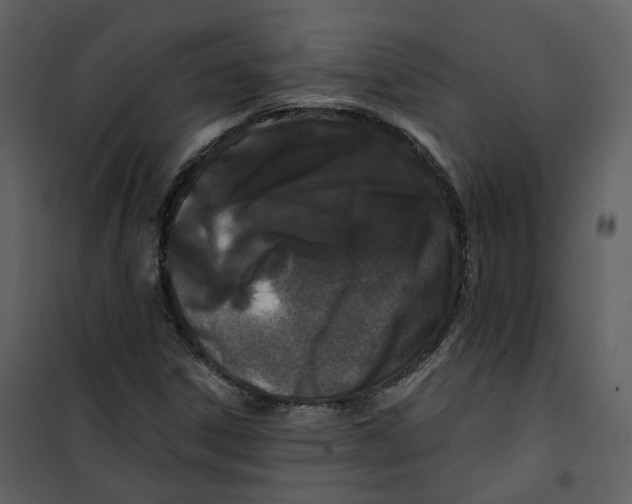 X0000100751306200807171402