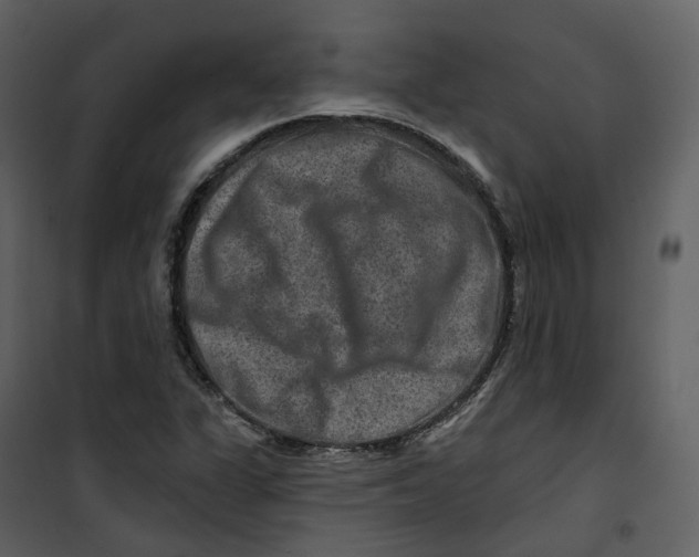 X0000100751311200807171402