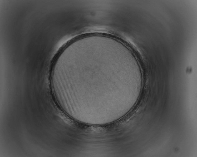 X0000100751312200807171402