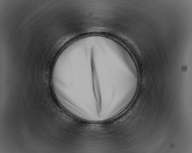 X0000100751313200807171402