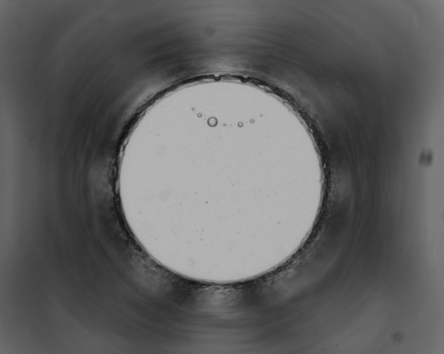 X0000100751314200807171402