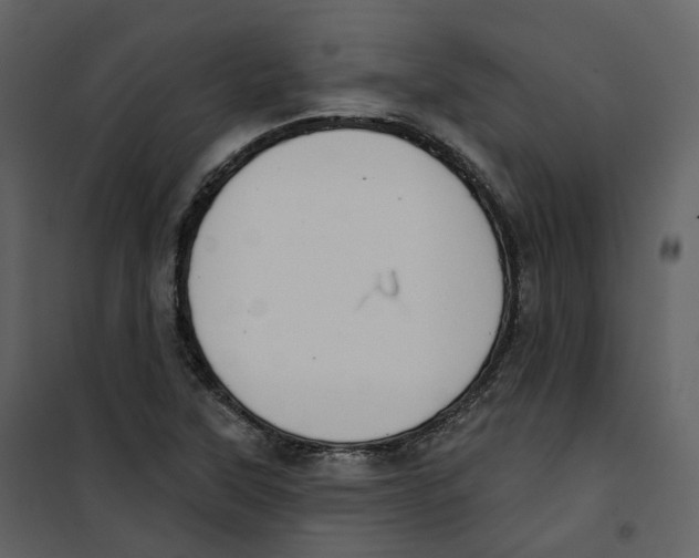 X0000100751315200807171402