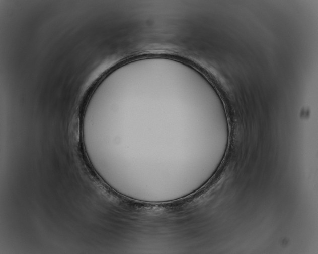 X0000100751317200807171402