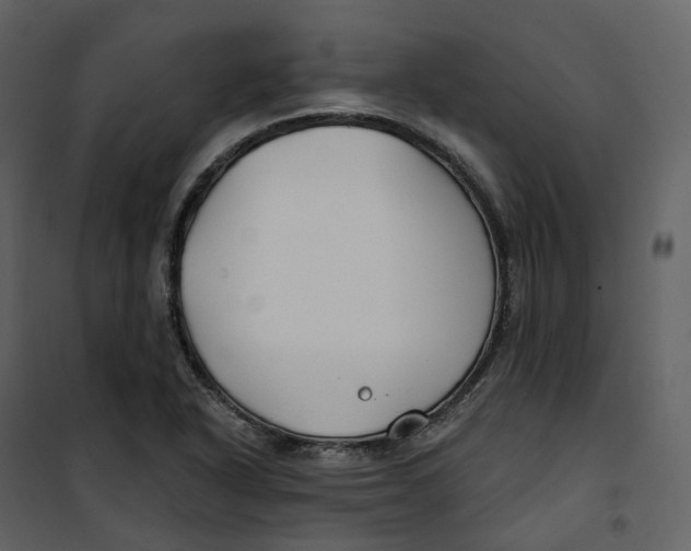 X0000100751318200807171402