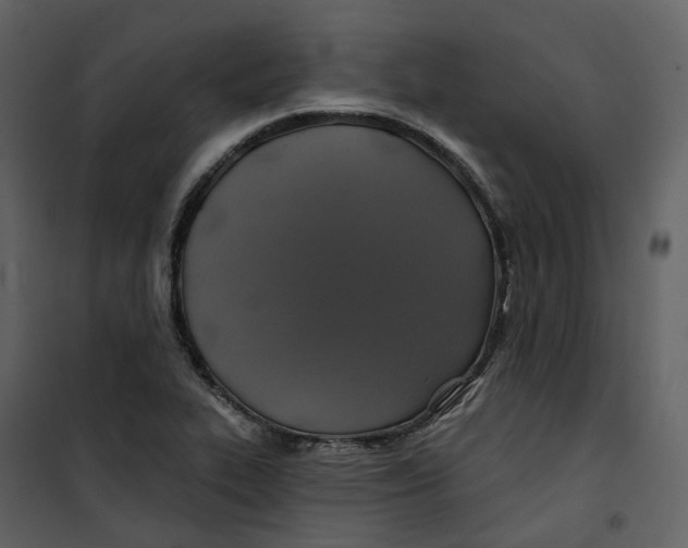 X0000100751319200807171402