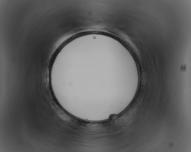 X0000100751320200807171402