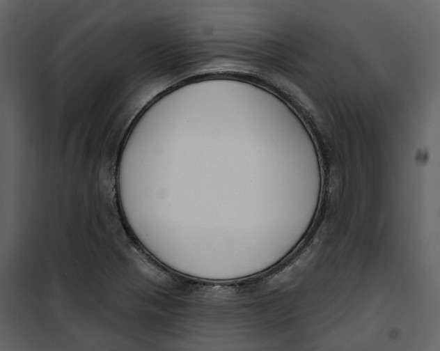 X0000100751321200807171402