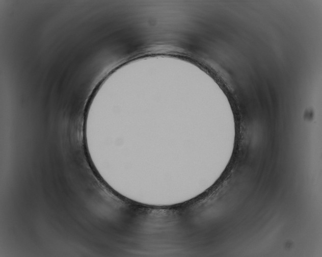 X0000100751322200807171402