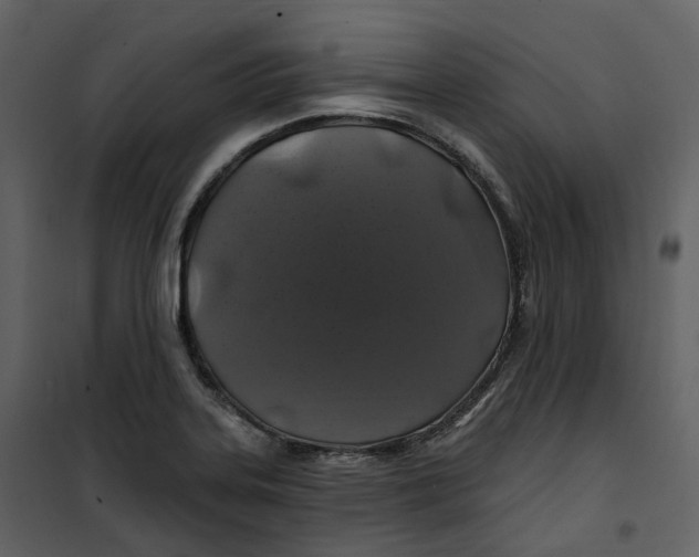 X0000100751323200807171402