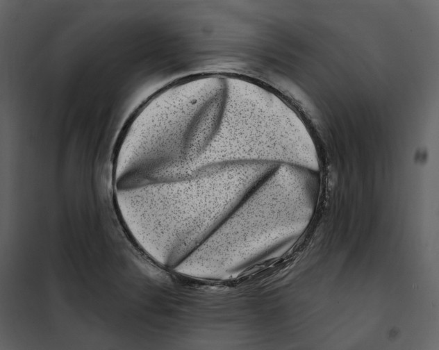 X0000100751324200807171402