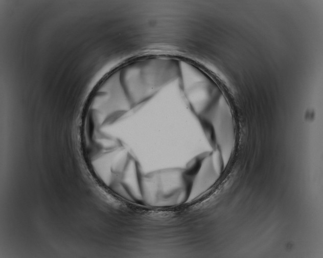 X0000100751325200807171402