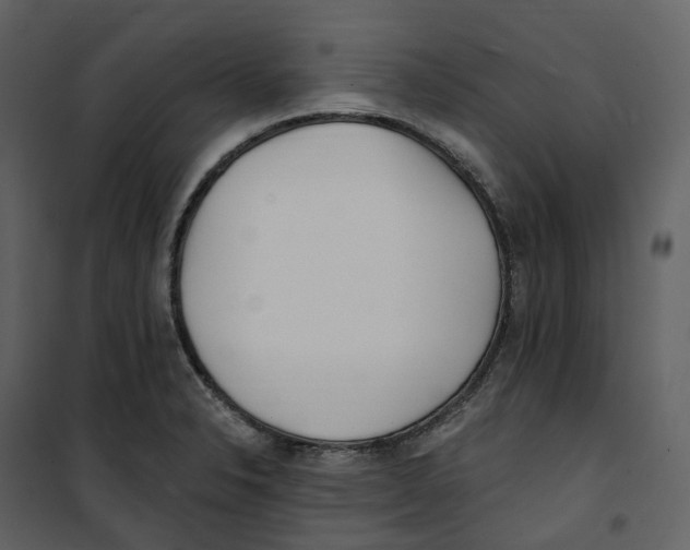 X0000100751326200807171402