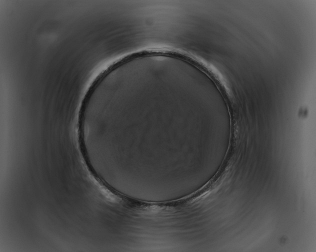 X0000100751327200807171402