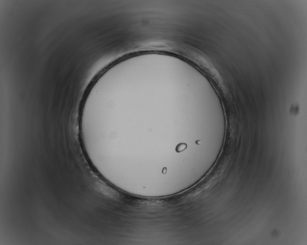 X0000100751328200807171402