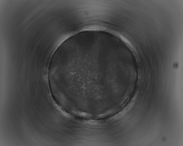 X0000100751329200807171402