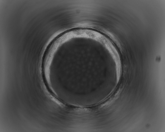 X0000100751331200807171402