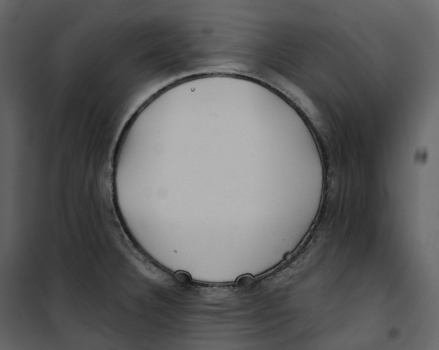 X0000100751332200807171402