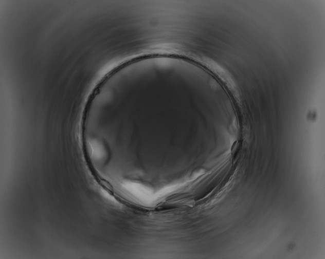 X0000100751334200807171402