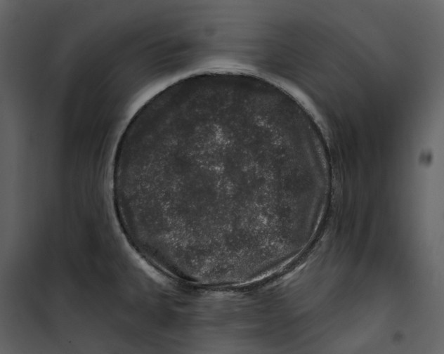 X0000100751335200807171402