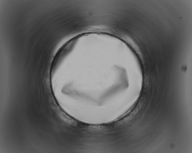 X0000100751336200807171402