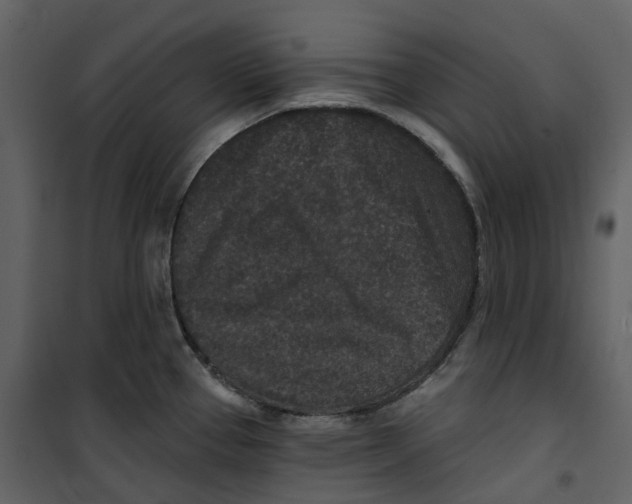 X0000100751337200807171402