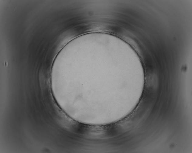 X0000100751338200807171402