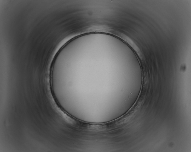 X0000100751339200807171402