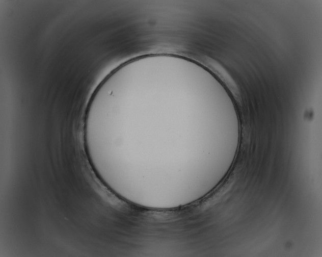 X0000100751340200807171402