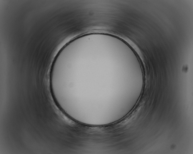 X0000100751341200807171402