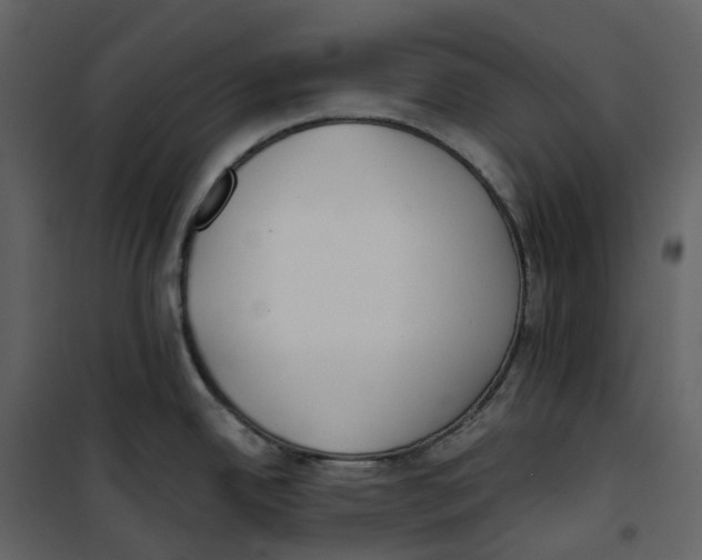 X0000100751342200807171402