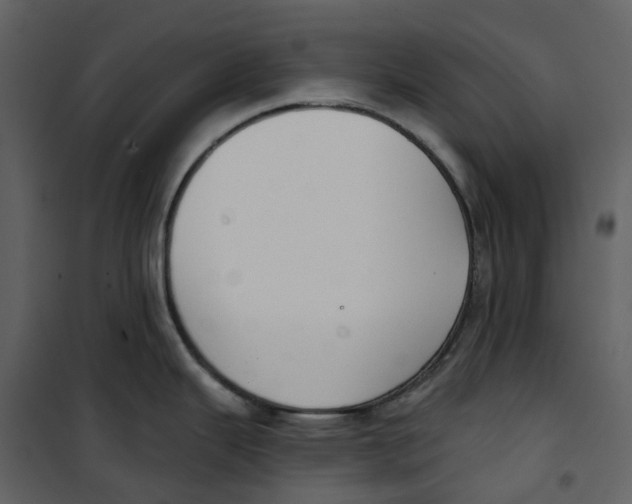 X0000100751343200807171402