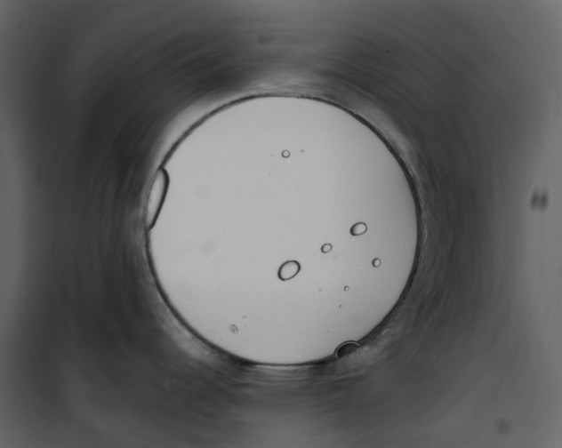 X0000100751344200807171402