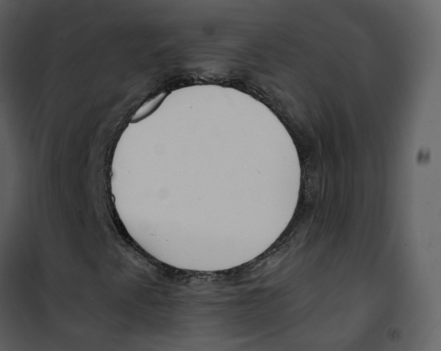 X0000100751345200807171401