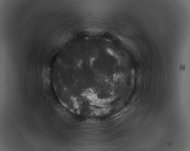 X0000100751346200807171401