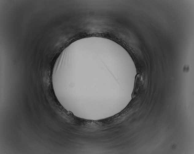 X0000100751348200807171401