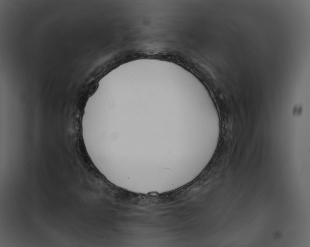 X0000100751349200807171401