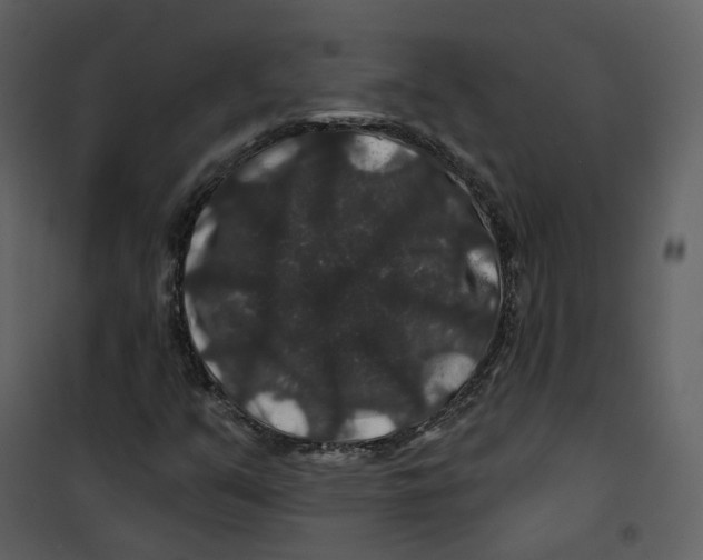 X0000100751351200807171401