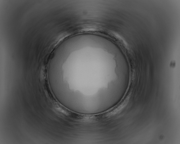 X0000100751353200807171401